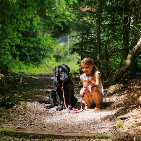 Hotel Mondi Familien&aktivresort 4*