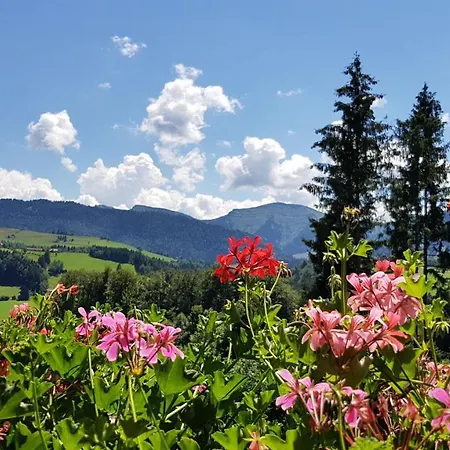 Mondi Und Hotel 4*